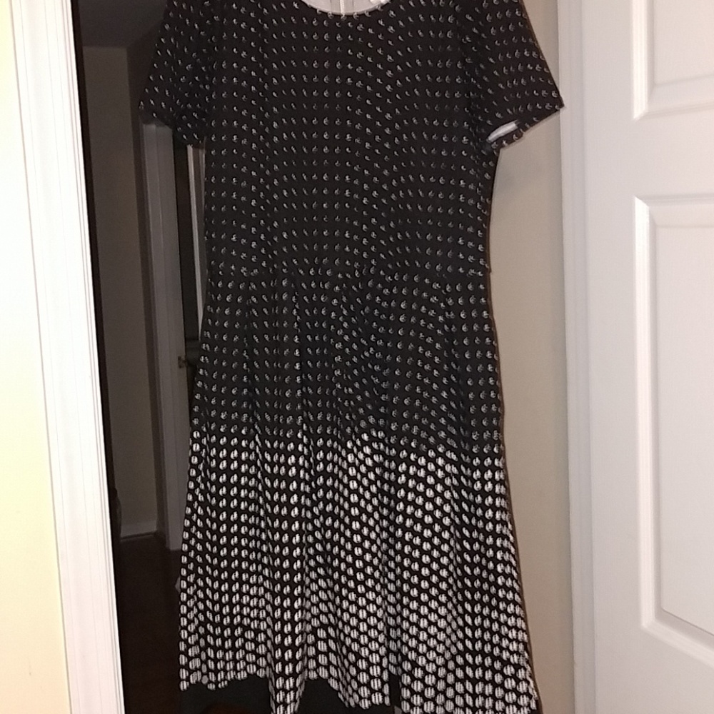 XL Lularoe Amelia Dress